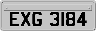 EXG3184