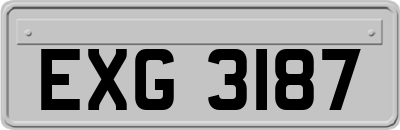 EXG3187