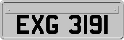 EXG3191