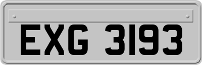 EXG3193