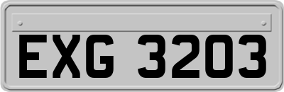 EXG3203