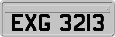 EXG3213