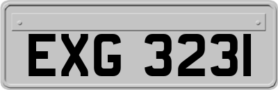 EXG3231
