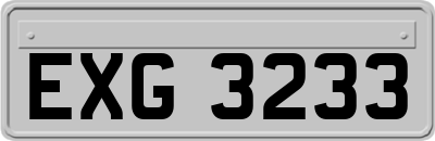 EXG3233