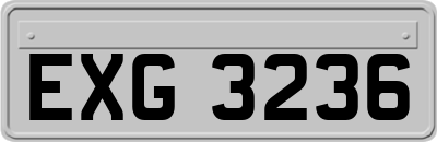 EXG3236