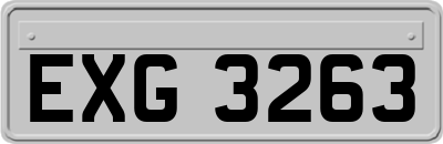 EXG3263