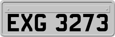 EXG3273