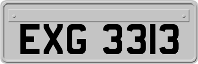 EXG3313
