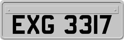 EXG3317