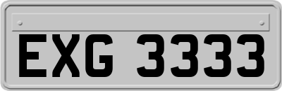 EXG3333