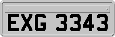 EXG3343
