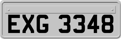 EXG3348