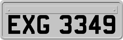 EXG3349