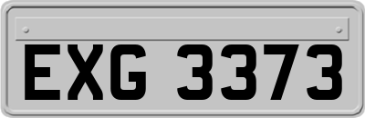EXG3373
