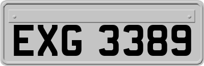 EXG3389