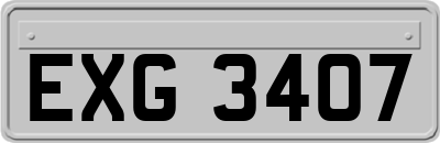 EXG3407