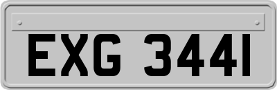 EXG3441