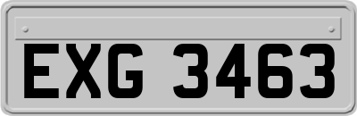 EXG3463