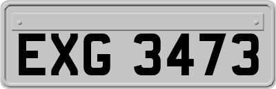 EXG3473