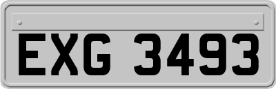 EXG3493
