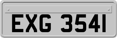 EXG3541