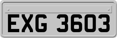 EXG3603