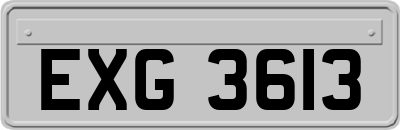 EXG3613