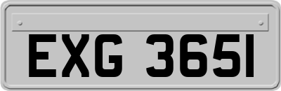 EXG3651