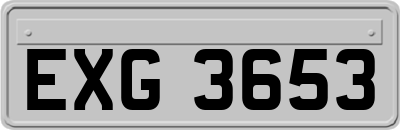 EXG3653