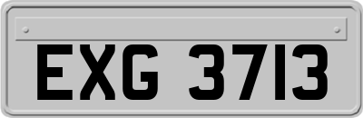 EXG3713
