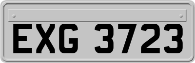EXG3723