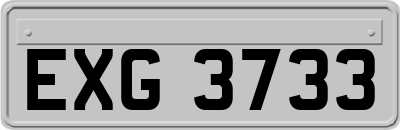 EXG3733