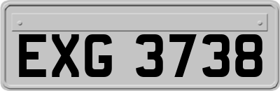 EXG3738
