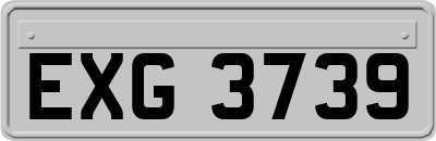 EXG3739