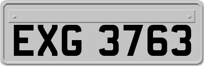 EXG3763