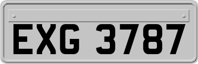 EXG3787