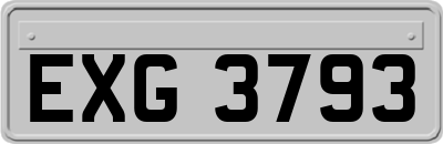 EXG3793