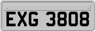 EXG3808
