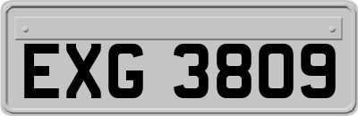 EXG3809