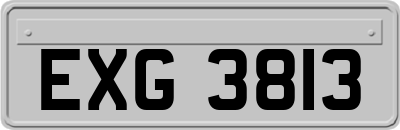 EXG3813