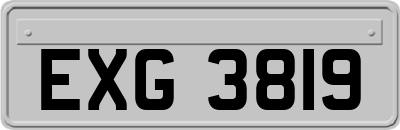 EXG3819