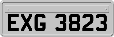 EXG3823
