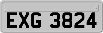 EXG3824