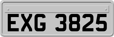 EXG3825