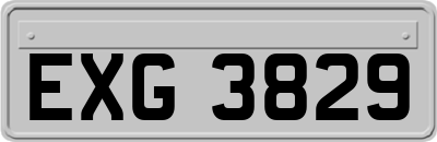 EXG3829