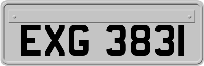 EXG3831