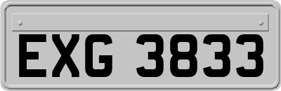 EXG3833