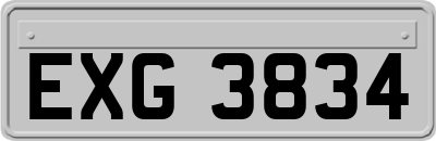 EXG3834