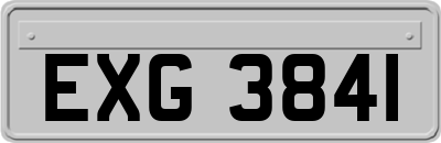 EXG3841
