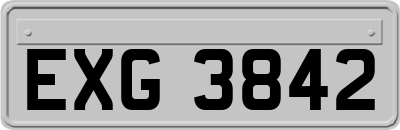 EXG3842
